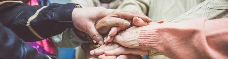 Homestead Health Care Services